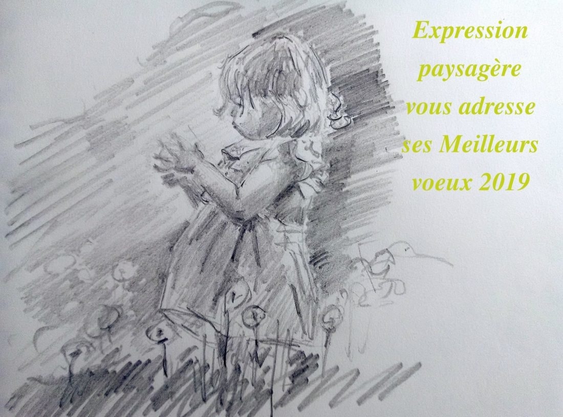dessin meilleurs voeux 2019