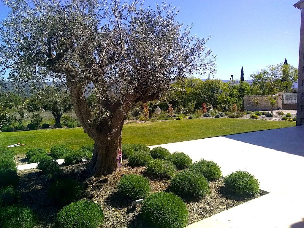 Jardin-à-Gordes-Vaucluse