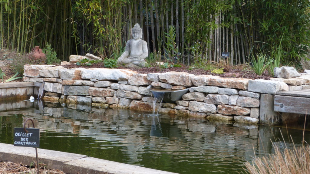 restauration bassin naturel fontaine