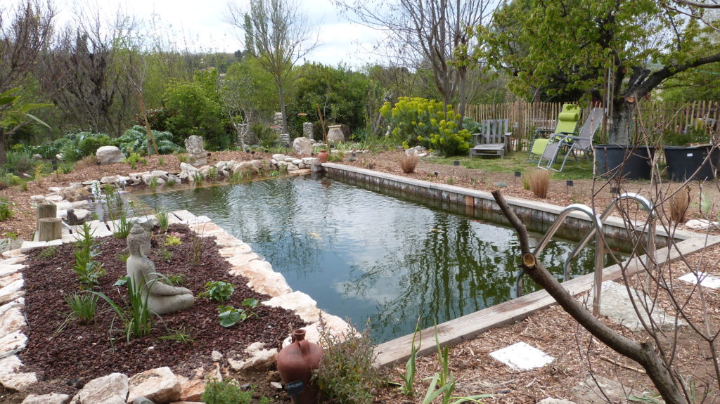restauration bassin naturel jardin