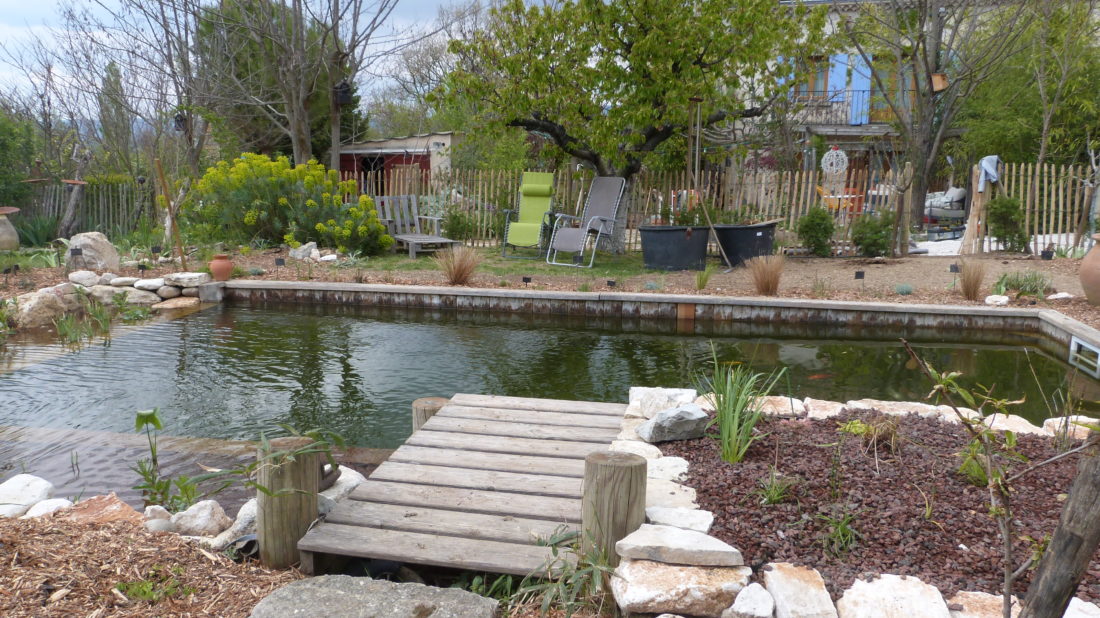 restauration bassin naturel ponton bois jardin