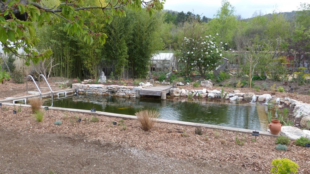 Paysagiste et aménagement de jardin à Thonon et Annemasse: Bassin d'agrément