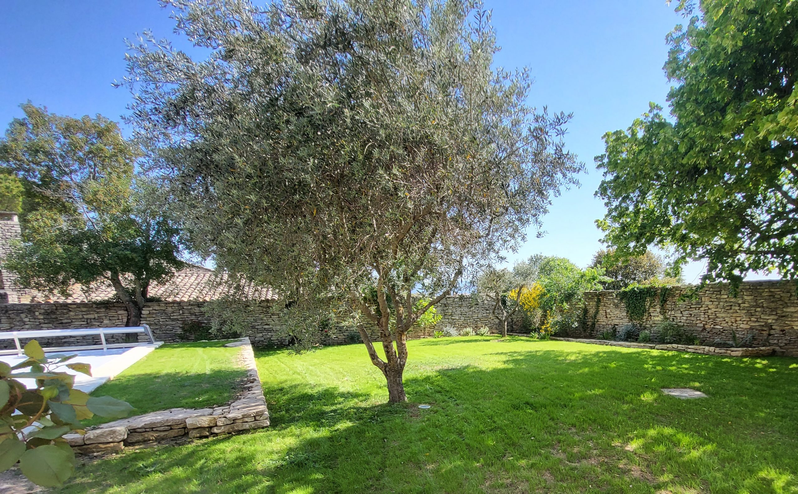 conception jardin olivier