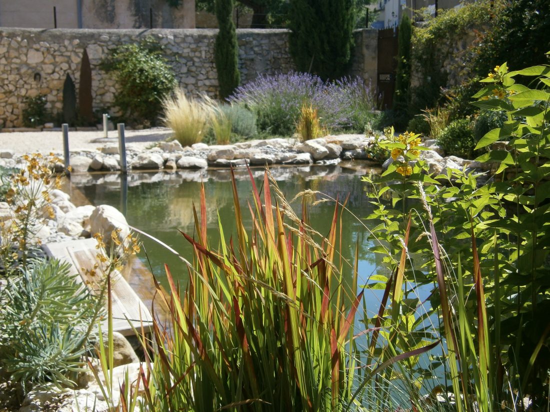 bassin agrement jardin