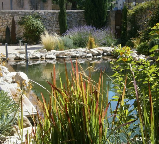 bassin agrement jardin
