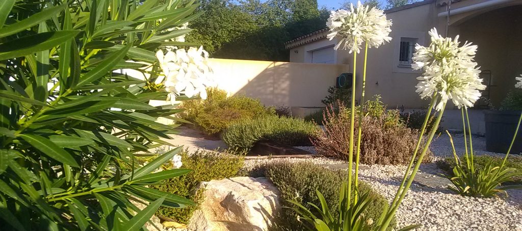 plantes jardin sec luberon