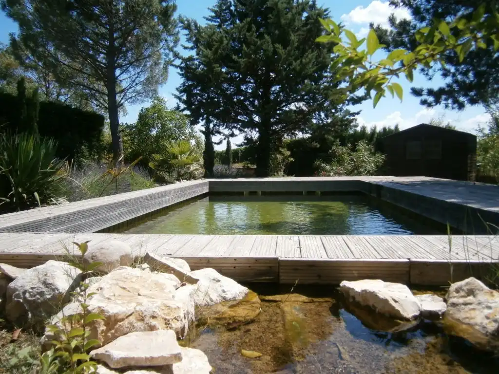 Bassin moderne avec terrasse en bois dans un jardin naturel paysager