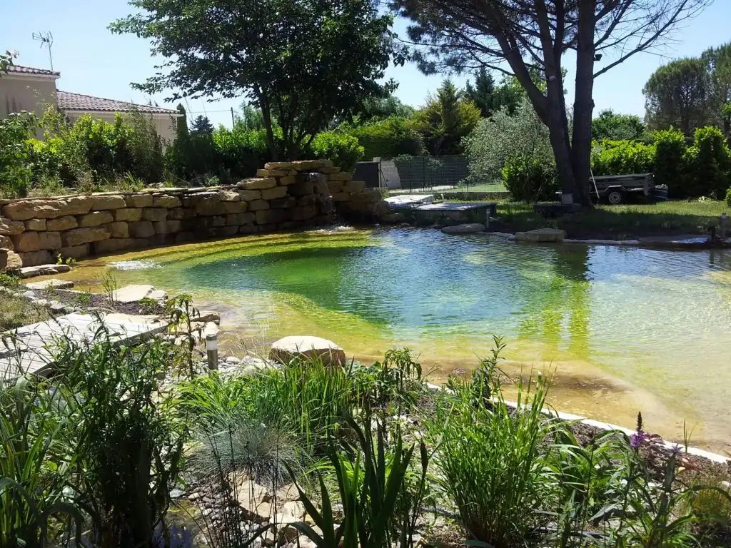 Bassin naturel de jardin avec plantes aquatiques et muret en pierre