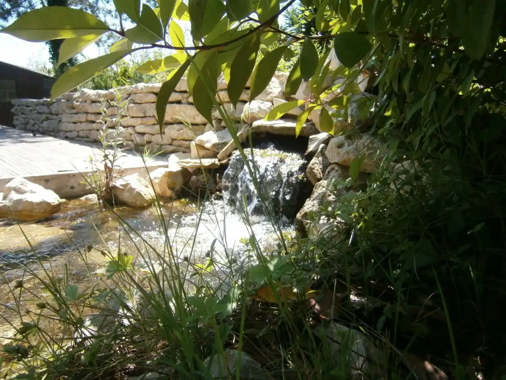 Cascade de bassin en pierre sèche dans un jardin naturel avec végétation dense