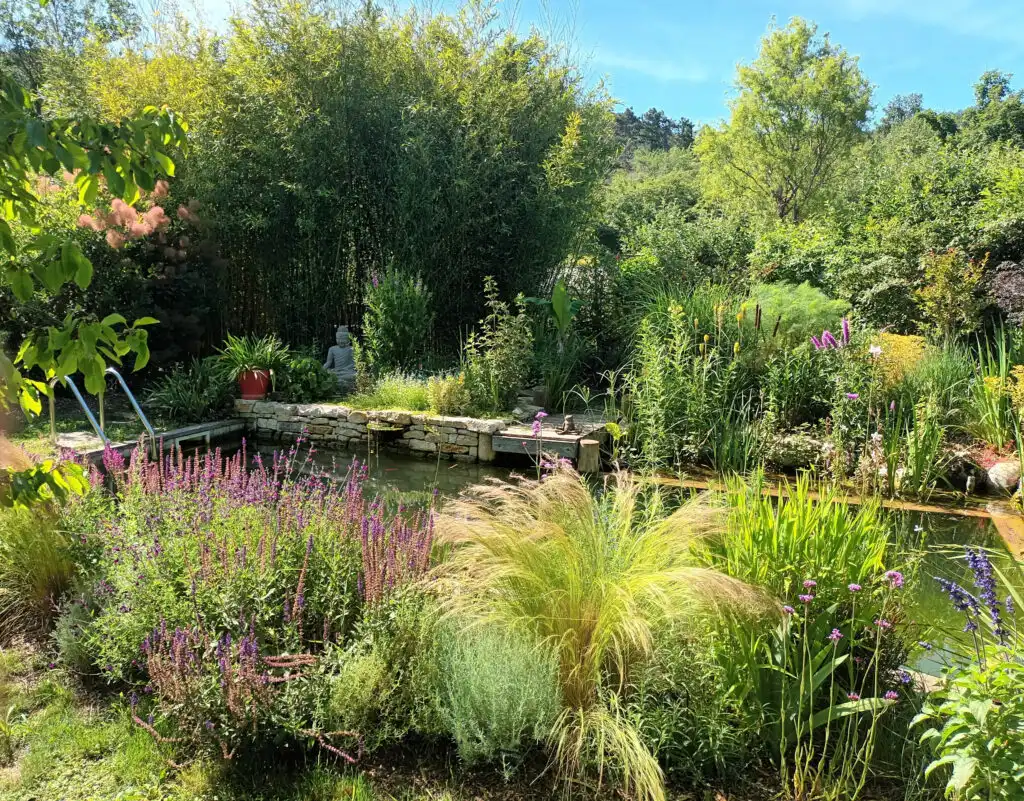 Jardin paysager avec bassin naturel et végétation abondante de style écologique