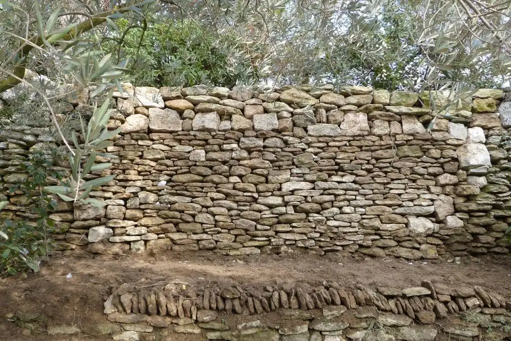 Ancien muret en pierre sèche entouré d’oliviers dans un jardin méditerranéen
