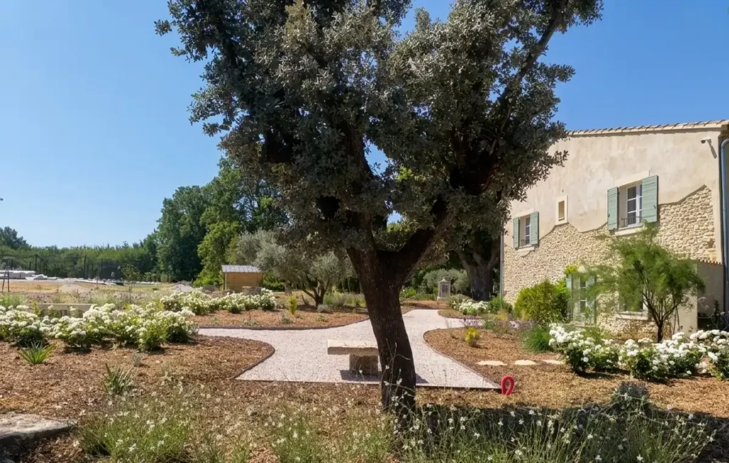 Création de jardin à Lagnes avec massifs fleuris, grand chêne, cheminements en gravier et maison provençale