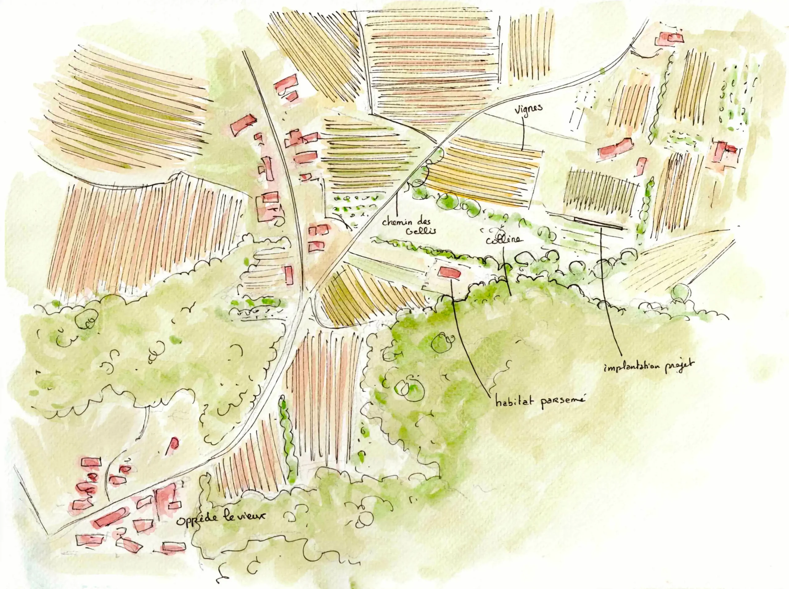 Croquis paysager du projet photovoltaïque à Oppède montrant son implantation parmi les vignes, la végétation et Oppède-le-Vieux