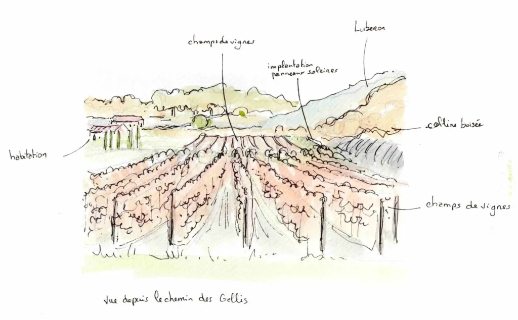 Croquis d’intégration paysagère du projet photovoltaïque à Oppède avec vignes, panneaux solaires et relief du Luberon