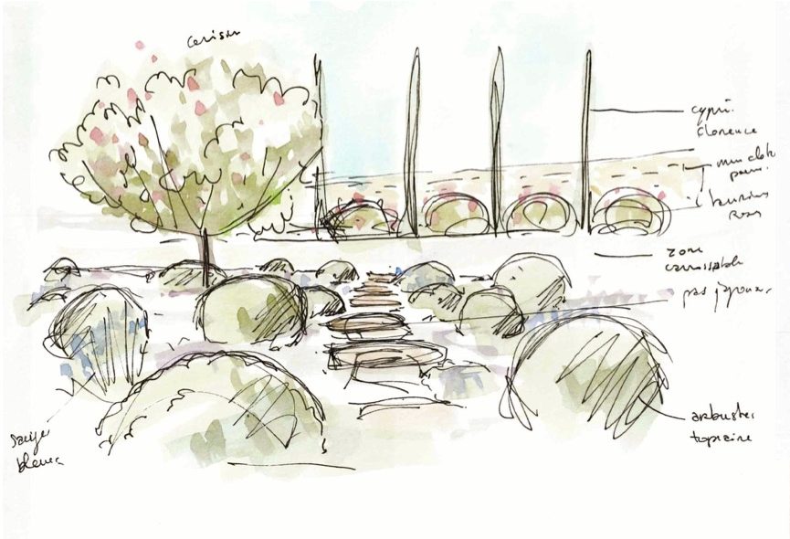 dessin à main levée pour projet de jardin