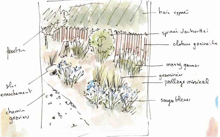 croquis préparatoire pour conception paysagère en ligne